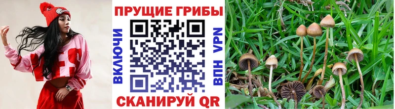 Галлюциногенные грибы GOLDEN TEACHER  наркота  Усинск 
