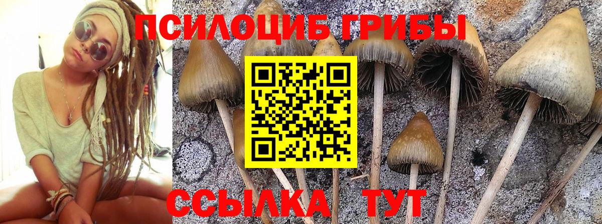 где продают   Вход с VPN  Псилоцибиновые грибы Psilocybe  Усинск  Псилоцибиновые грибы Psilocybe 